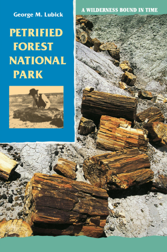 Petrified Forest National Park A Wilderness Bound in Time