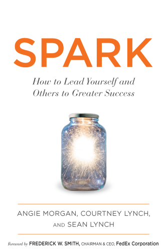 Spark how to lead yourself and others to greater success