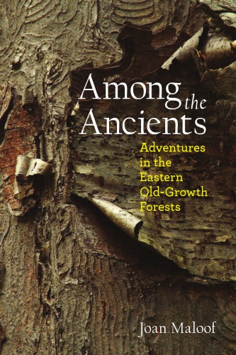 Among the ancients: adventures in the eastern old-growth forests