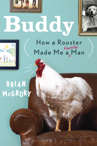 Buddy: how a rooster made me a family man