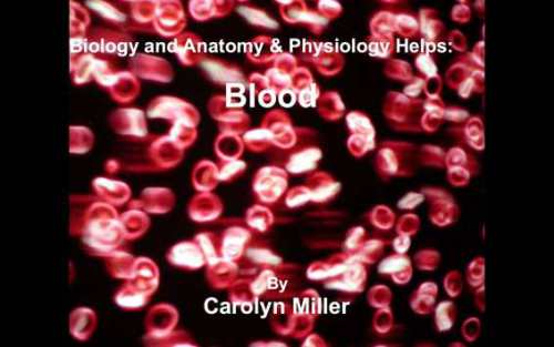 Biology and Anatomy & Physiology Helps: Blood