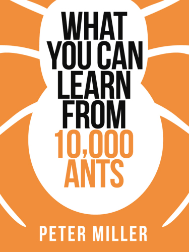 What You Can Learn From 10,000 Ants