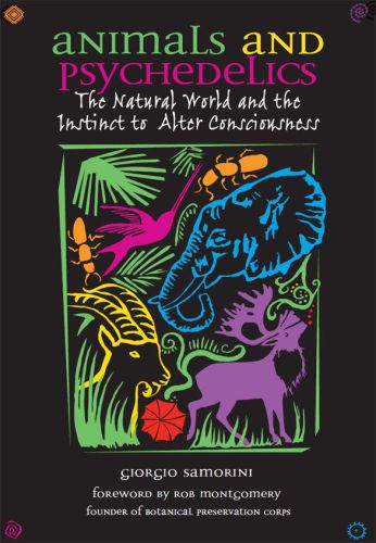 Animals and Psychedelics: the Natural World and the Instinct to Alter Consciousness