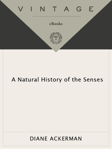 A Natural History of the Senses