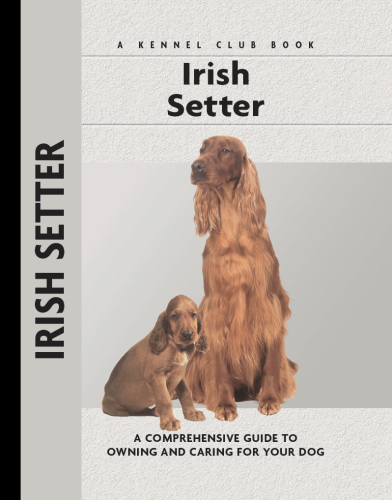 Irish Setter