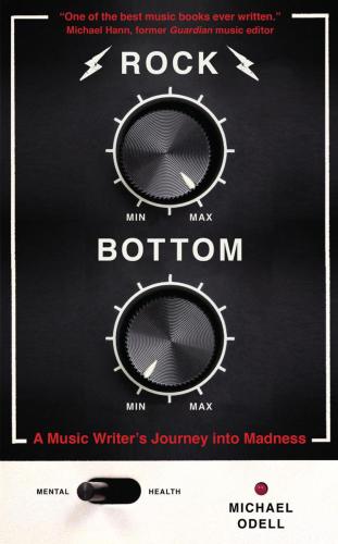 Rock bottom: a music writer's journey into madness