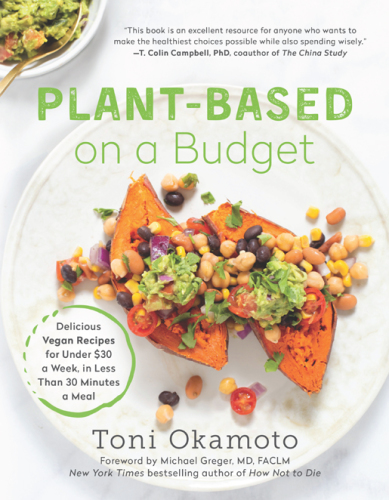 Plant-based on a budget: delicious vegan recipes for under $30 a week, for less than 30 minutes a meal