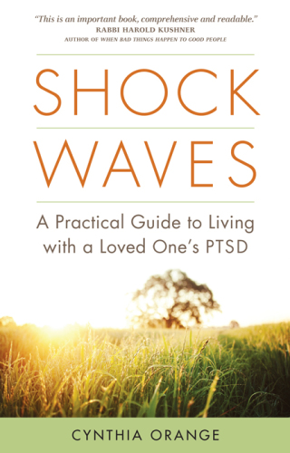 Shock waves: a practical guide to living with a loved one's PTSD