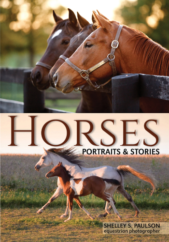 Horses: portraits & stories