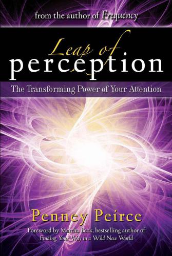 Leap of Perception: The Transforming Power of Your Attention