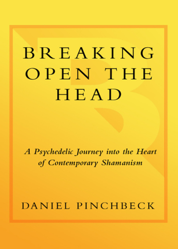 Breaking open the head: a psychedelic journey into the heart of contemporary shamanism