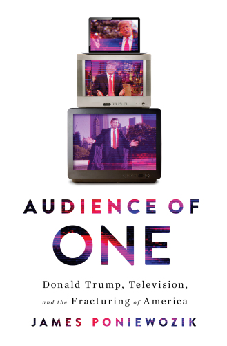 Audience of one: Donald Trump, television, and the fracturing of America