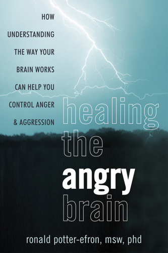 Healingthe Angry Brain