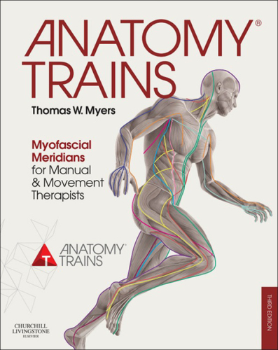 Anatomy trains: myofascial meridians for manual and movement therapists