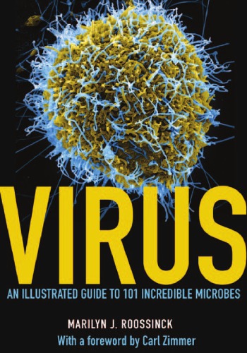 Virus