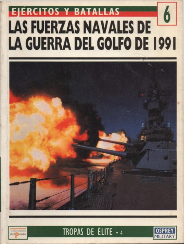 Las Fuerzas Navales de la Guerra del Golfo de 1991