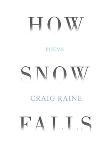 How Snow Falls