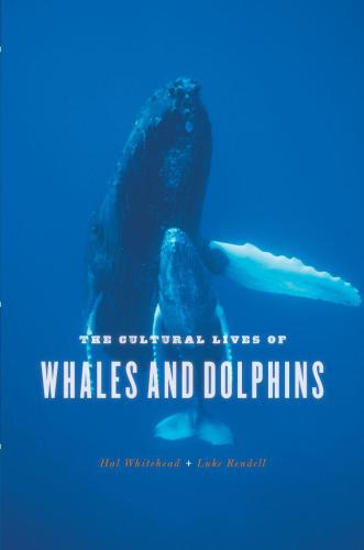 The Cultural Lives of Whales and Dolphins