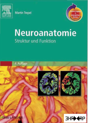 Neuroanatomie: Struktur und Funktion