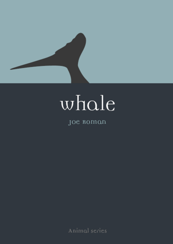 Whale