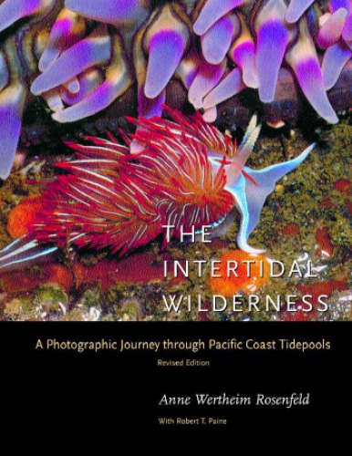 The intertidal wilderness