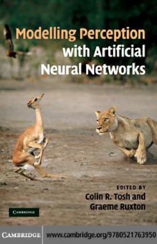 Modelling perception with artificial neural networks