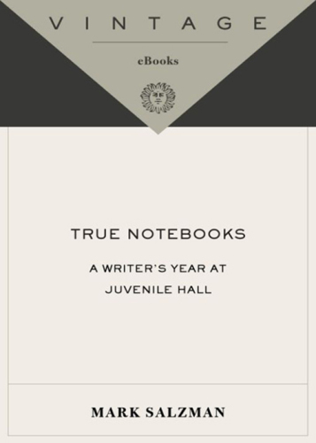 True notebooks: a writer's year at juvenile hall