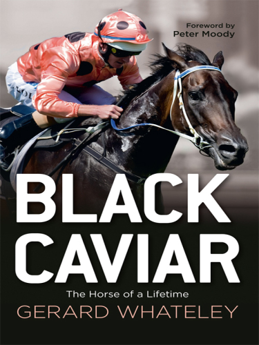 Black Caviar: the horse of a lifetime