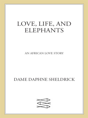 Love, life, and elephants: an African love story