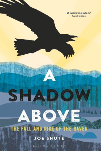 SHADOW ABOVE: the fall and rise of the raven