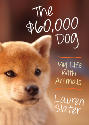 The $60,000 dog dog: my life with animals