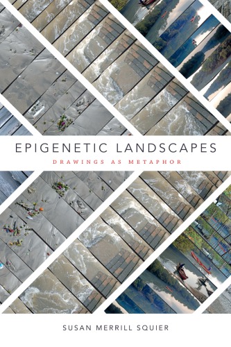 Epigenetic landscapes: drawings as metaphor