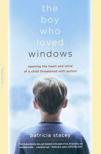 The boy who loved windows: opening the heart and mind of a child threatened with autism