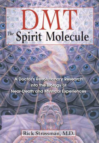 DMT: the spirit molecule: a doctor's revolutionary research into the biology of near-death and mystical experiences