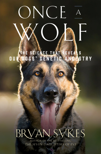 ONCE A WOLF: the science that reveals our dogs? genetic ancestry