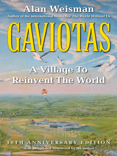 Gaviotas: a Village to Reinvent the World