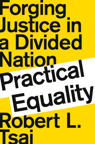 Practical equality: forging justice in a divided nation