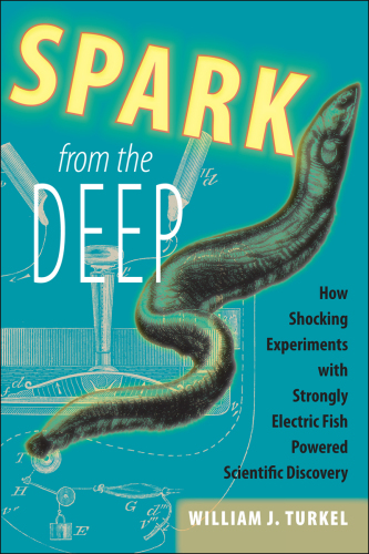 Spark from the deep: how shocking experiments with strongly electric fish powered scientific discovery