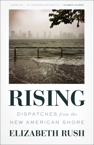 Rising: dispatches from the new American shore