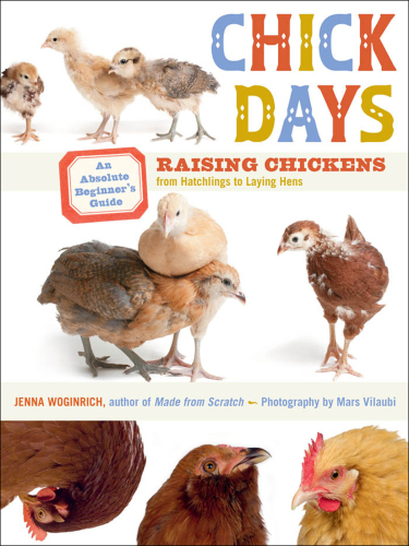 Chick days: an absolute beginner's guide to raising chickens from hatchlings to laying hens