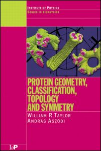 Protein Geometry, Classification, Topology and Symmetry: A Computational Analysis of Structure