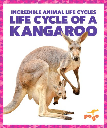 Life cycle of a kanagroo