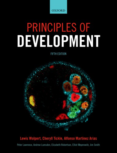 Principles of development