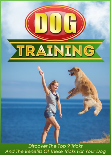 Dog Training Discover The Top 9 Tricks And The Benefits Of These Tricks For Your Dog