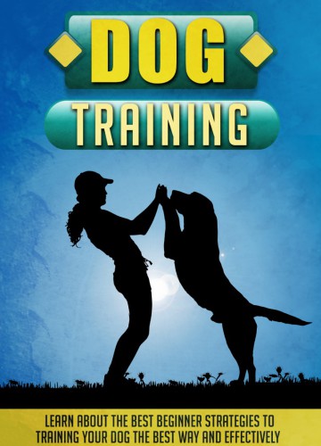 Dog Training Learn About The Best Beginner Strategies To Training Your Dog The Best Way And Effectively