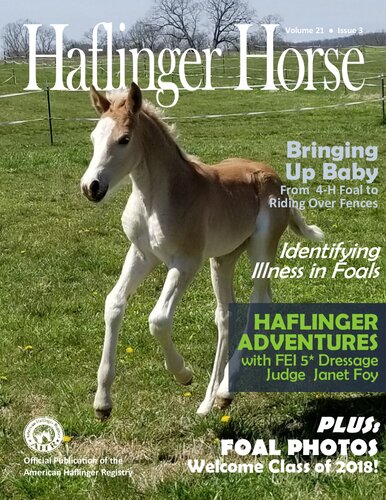 Halfinger Horse