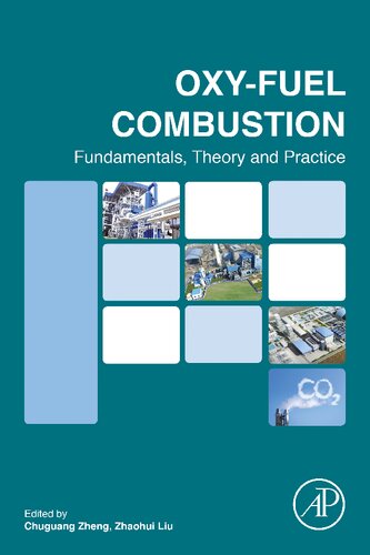 Oxy-fuel Combustion: Fundamentals, Theory and Practice