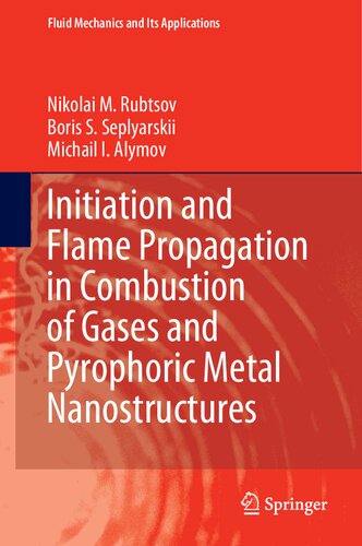 Initiation and Flame Propagation in Combustion of Gases and Pyrophoric Metal Nanostructures