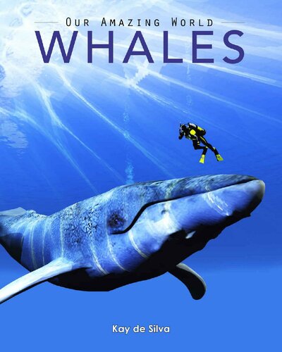 Whales: Amazing Pictures & Fun Facts on Animals in Nature (Our Amazing World Series Book 1)