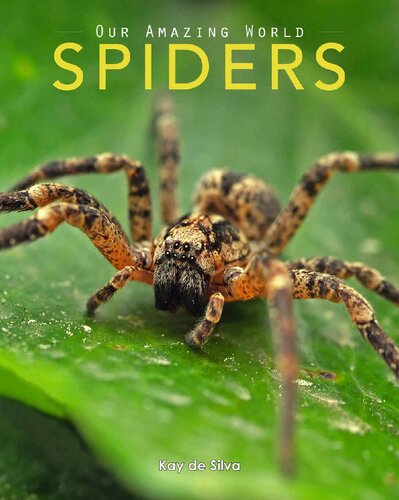 Spiders: Amazing Pictures & Fun Facts on Animals in Nature (Our Amazing World Series Book 7)